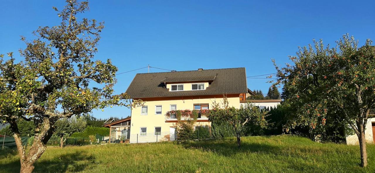 Apartamento Haus Elvira Sankt Stefan an der Gail Exterior foto